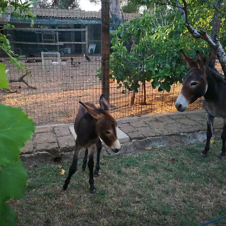 Masseria Provenzani Trepuzzi
