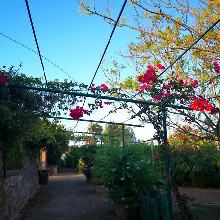 Masseria Provenzani Farm stay