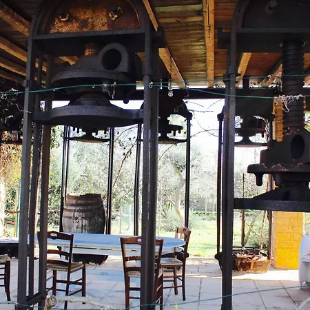 Farm stay Masseria Provenzani