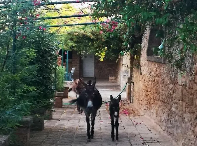 Masseria Provenzani * Trepuzzi