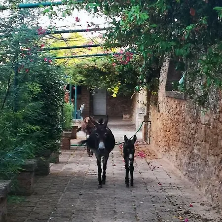 Masseria Provenzani * Trepuzzi